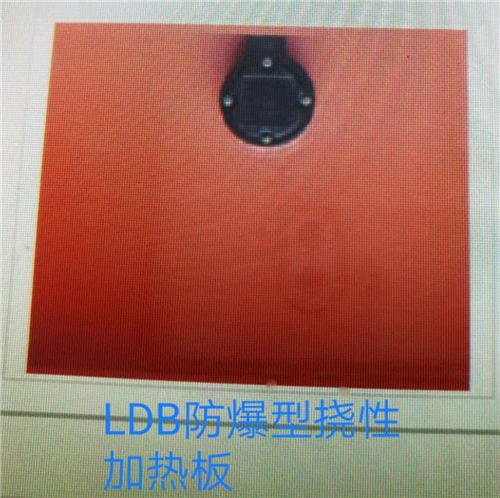 LDB�����͓��Լӟ��